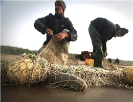 صید تجاری ماهیان خاویاری درخزر تا سال 2017 ممنوع شد