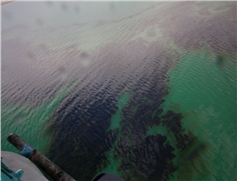 امسال؛ 6 مورد نشت نفتی در آبهای کشور گزارش شد