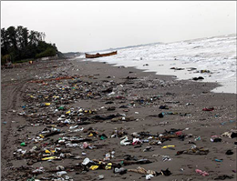 جمع آوری زباله های سواحل چابهار