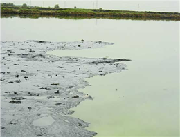 رفع آلودگی نفتی در دری‌ا با کشف ماده ی‌ جدید