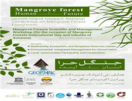 برگزاری همایش ملی جنگل حرا در قشم