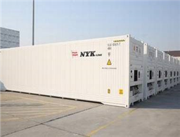 NYK buys new reefer containers 