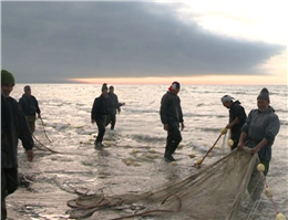تعطیلی موقت صید ماهیان استخوانی در دریای خزر 