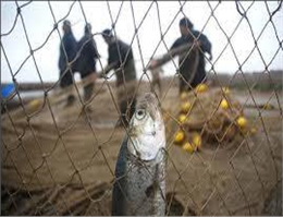 برخورد با صید غیرقانونی در سواحل و صیدگاههای خوزستان
