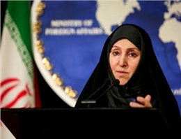 اظهارات افخم در خصوص آزادی ملوان ایرانی