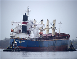 Mercator Lines Bulker Finally Sold in India