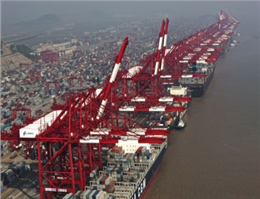Shanghai port container volumes rises
