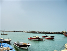 318 شناور در بوشهر ساماندهی نشده است
