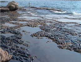 لزوم مدیریت یکپارچه برای آلودگی نفتی در سواحل خزر