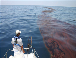 حمایت 1.3 میلیون دلاری نفتی ها از محیط زیست دریایی