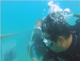 برپایی نمایشگاه عکس شهدای غواص در زیر دریا