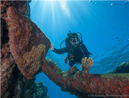 کشف بقایای چهار کشتی در آبهای استرالیا