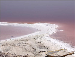 احیای دریاچه ارومیه با توسعه کشاورزی پایدار