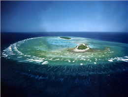 خطر نابودی بزرگترین جزیره مرجانی جهان