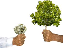 مالیات سبز؛ جریمه آلودگی محیط زیست