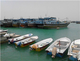 تعیین تکلیف 200 فروند قایق صیادی در بندر هندیجان 