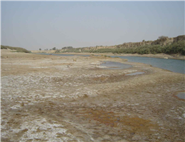خشک شدن کامل رودخانه زهره در هندیجان 