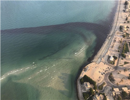 نشت نفتی کویت و تلاش برای پاکسازی آن