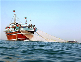 اتمام صید صنعتی در آبهای دریای عمان