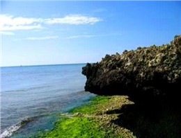 جزیره هندورابی جزیره آرامش می شود