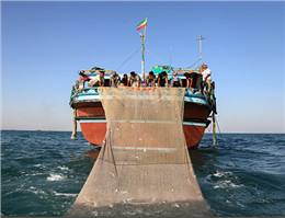 اتمام صید میگوی دریایی خلیج فارس در سال 95