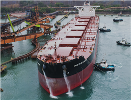 افزایش نرخ ها در صنعت کشتیرانی؛ معضل تجار غلات