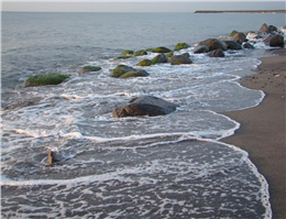 اجرای طرح الگوی سالمسازی دریا در آستارا
