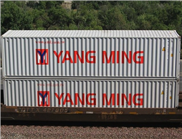 یانگ مینگ کانتینر حمل مواد خشک را می فروشد