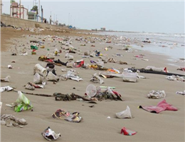 ساحل جزیره شیف در بوشهر پاکسازی شد