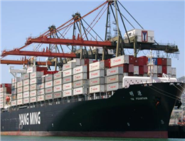 افزایش فعالیت کشتیرانی یانگ مینگ در آسیا