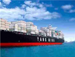 Yang Ming Rules Out Container Line Merger