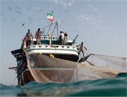 نگرانی صیادان خوزستان از شیوع ماهی مهاجم"زیلی"