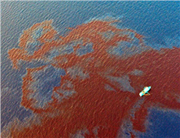 طول لکه نفتی سانچی به 16 کیلومتر می رسد/پاکسازی سطح دریا آغاز شد