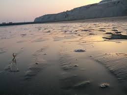 احتمال تشدید آلودگی سواحل خوزستان با بارش پائیزی