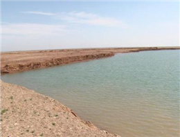 پیش بینی افزایش صادرات آبزیان پرورشی از خوزستان