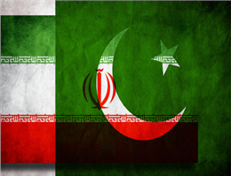همکاری ایران و پاکستان در حفظ محیط زیست دریایی