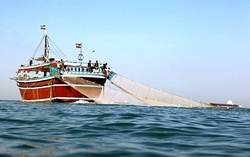 شناورهای صید صنعتی تون ماهیان به 15 فروند افزایش می یابد