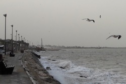 آبهای خلیج فارس طوفانی است/صیادان احتیاط کنند