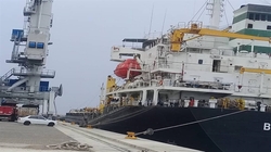 سومین کشتی گندم در بندر شهید بهشتی چابهار پهلوگیری شد