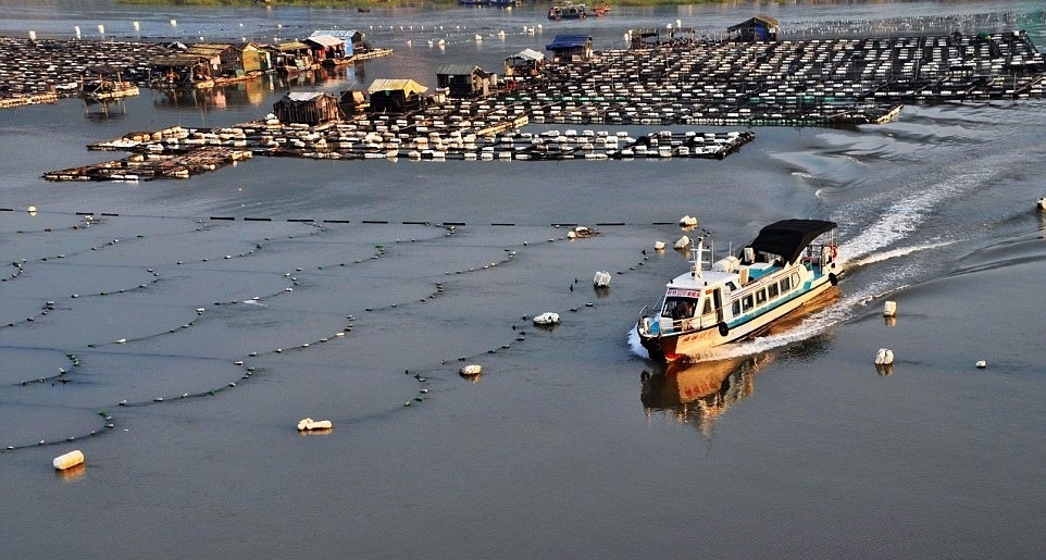 مزارع دریایی در چین