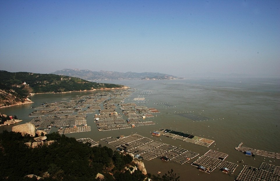 مزارع دریایی در چین