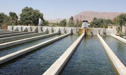 مرحله دوم بازسازی ذخایر آبزیان منابع آبی خوزستان