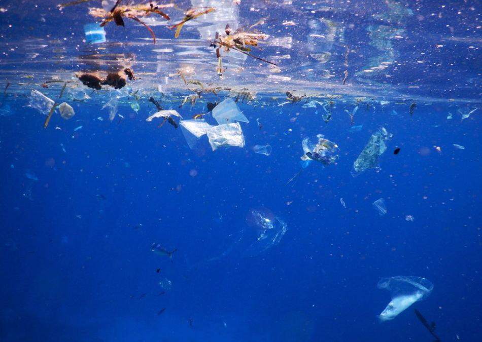 جمع آوری پلاستیک های سطح اقیانوس آرام+فیلم