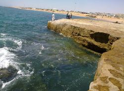 کمبود شدید اکسیژن در دریای عمان