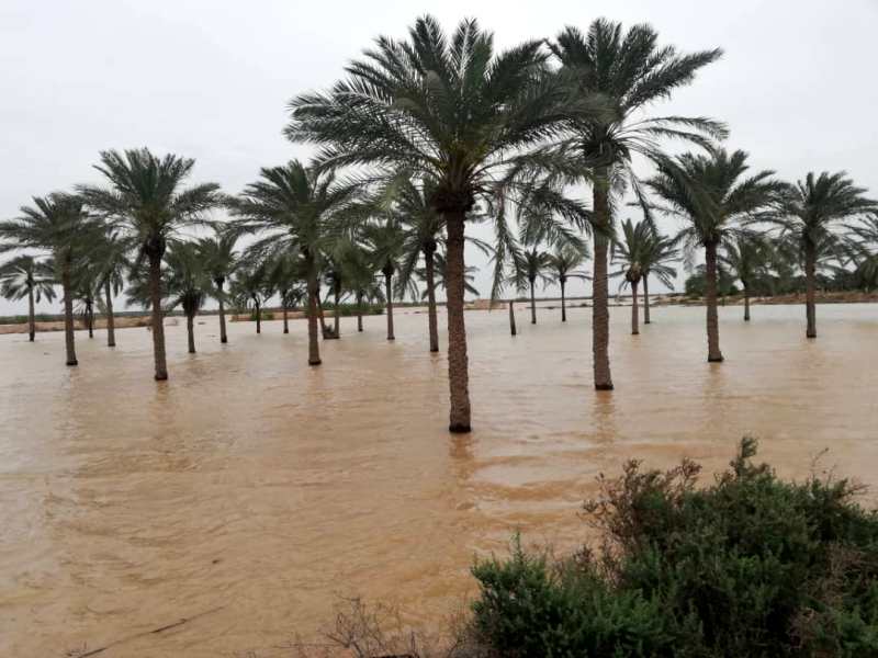 طغیان آبراه بهمنشیر بخشی از اراضی خرمشهر را زیر آب برد