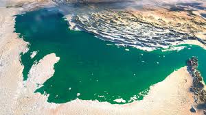 نابودی ۲۰ درصد از گونه‌های آبزی خلیج فارس تا پایان قرن ۲۱ / ۳۰ درصد بحرین به طور کامل زیر آب خواهد رفت