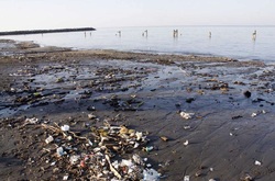 پسماند دریایی محیط زیست خلیج فارس را تهدید می‌کند