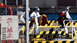 یک کشتی مسافرتی در ژاپن به دلیل ویروس کرونا قرنطینه شد