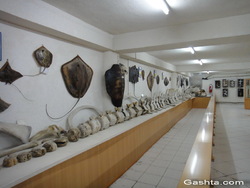 انتخاب موزه دریانوردی گوران قشم به عنوان موزه برتر کشور