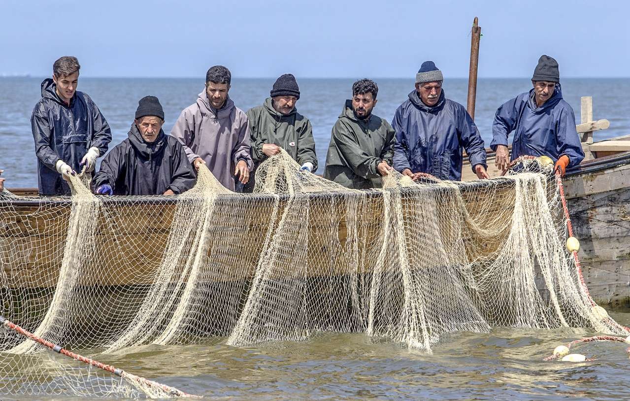 صید ماهیان استخوانی دریایی خزر 44 درصد افزایش یافت